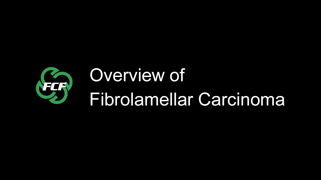 FLC overview video - fall 2022