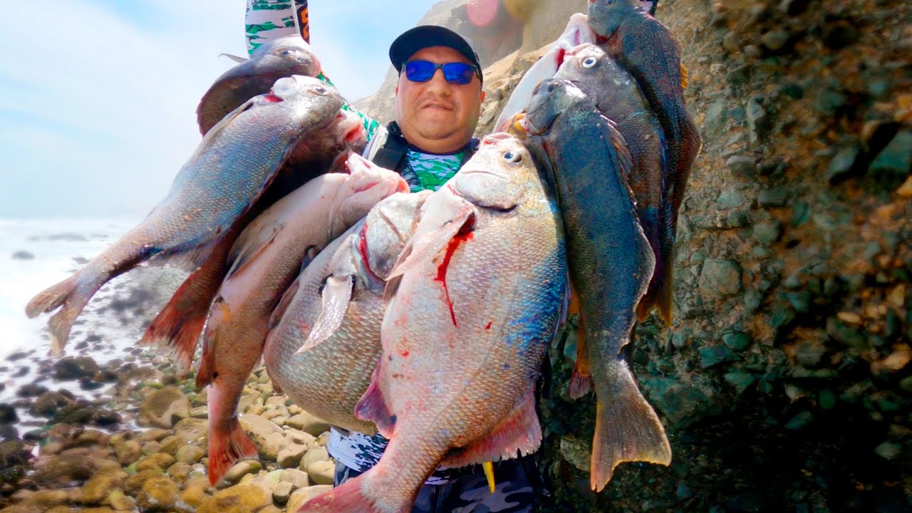 10 Kg de Sargo!! pero fue dificil salir. Pintachas y jerguillas en un solo lugar