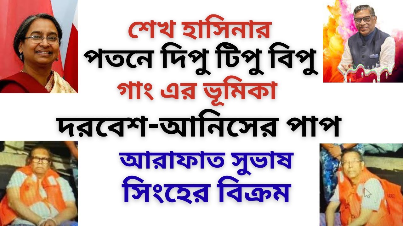 শেখ হাসিনার পতনে দিপু টিপু বিপু গাং ! দরবেশ আনিসের পাপ ! আরাফাত সুভাষ সিংহের দাপট ! 