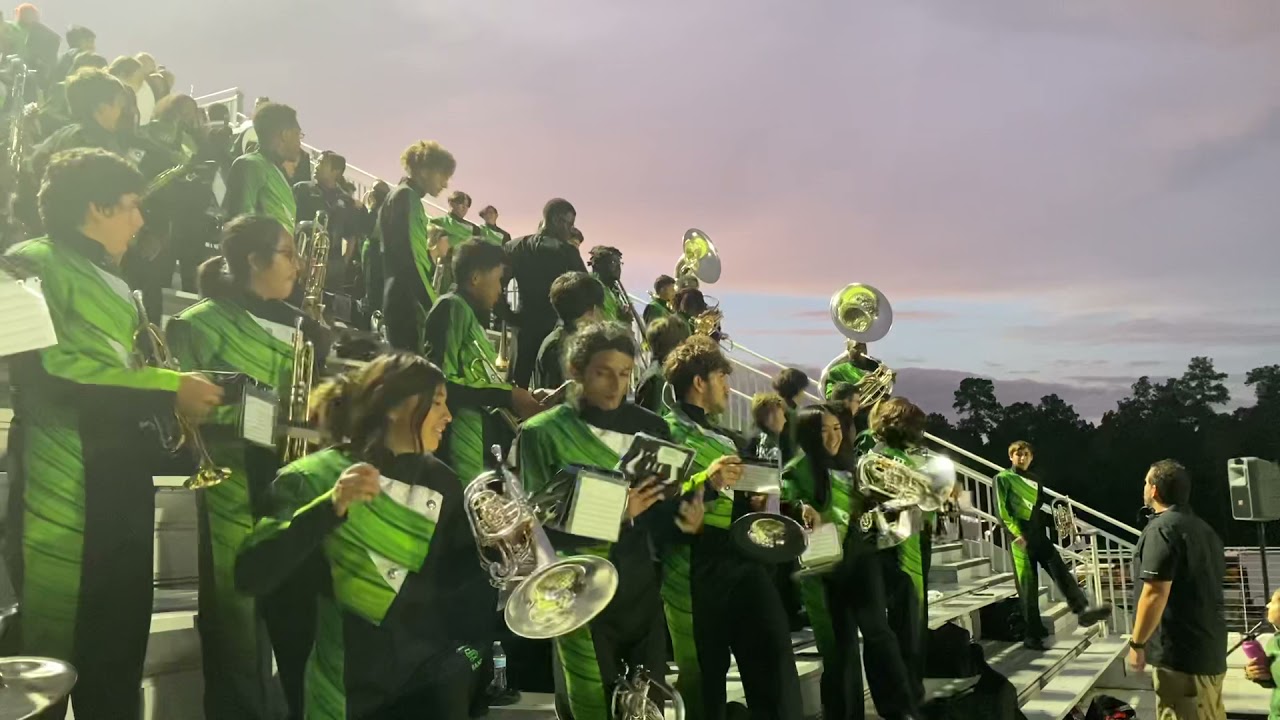 Spring Lion Band - Neck