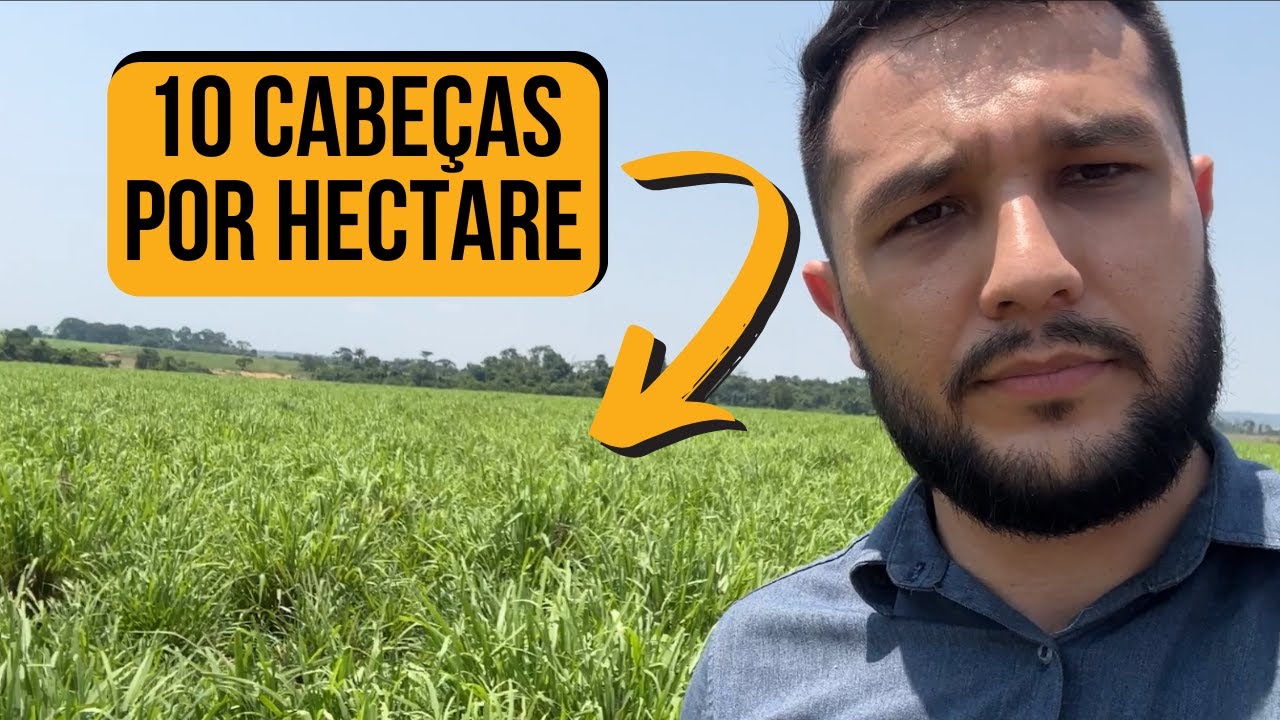 Passo a passo para aumentar a taxa de lotação!