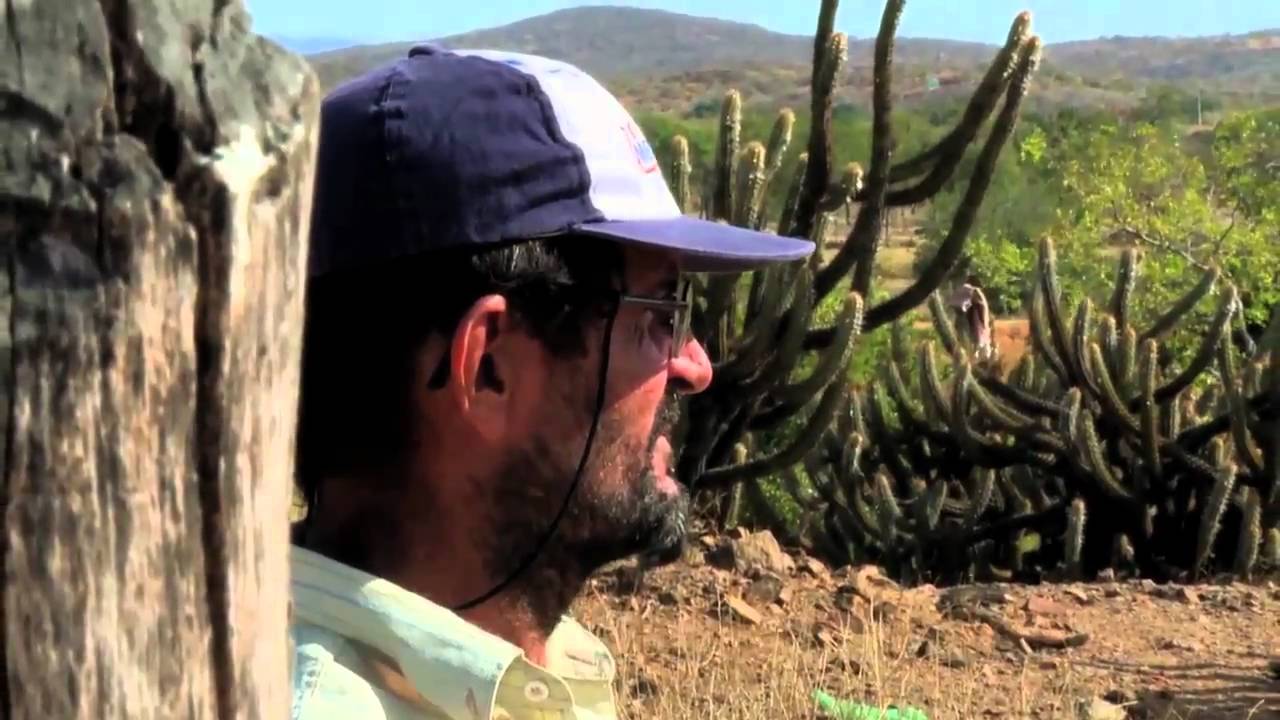 Brazil: Desertification (High Definition)