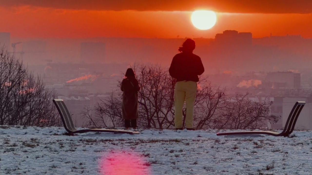where?? - birds keep flying (video)