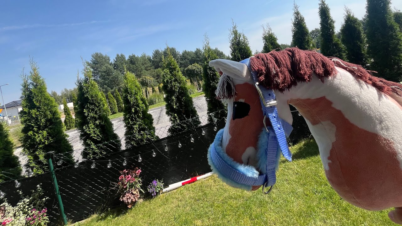 Realistyczny hobby horsing😏