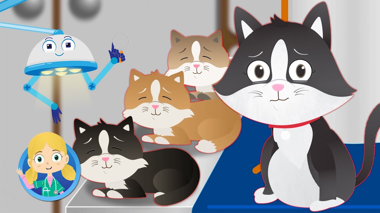 Something's Wrong With Sarah The Cat! | Doctor Poppy's Pet Rescue | Cartoon Animals For Kids