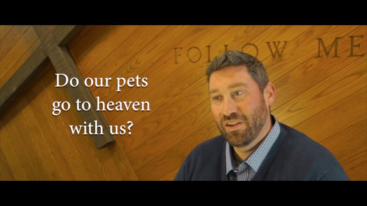 Do our pets go to heaven with us?