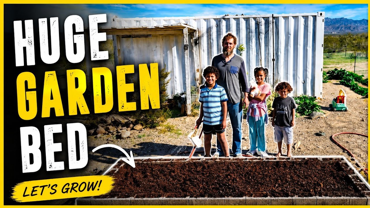 Building a huge garden bed for under $100