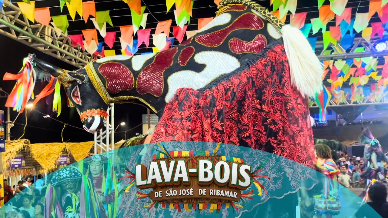 LAVA-BOIS DE SÃO JOSÉ DE RIBAMAR ❤️‍🔥 2025 (parte4)