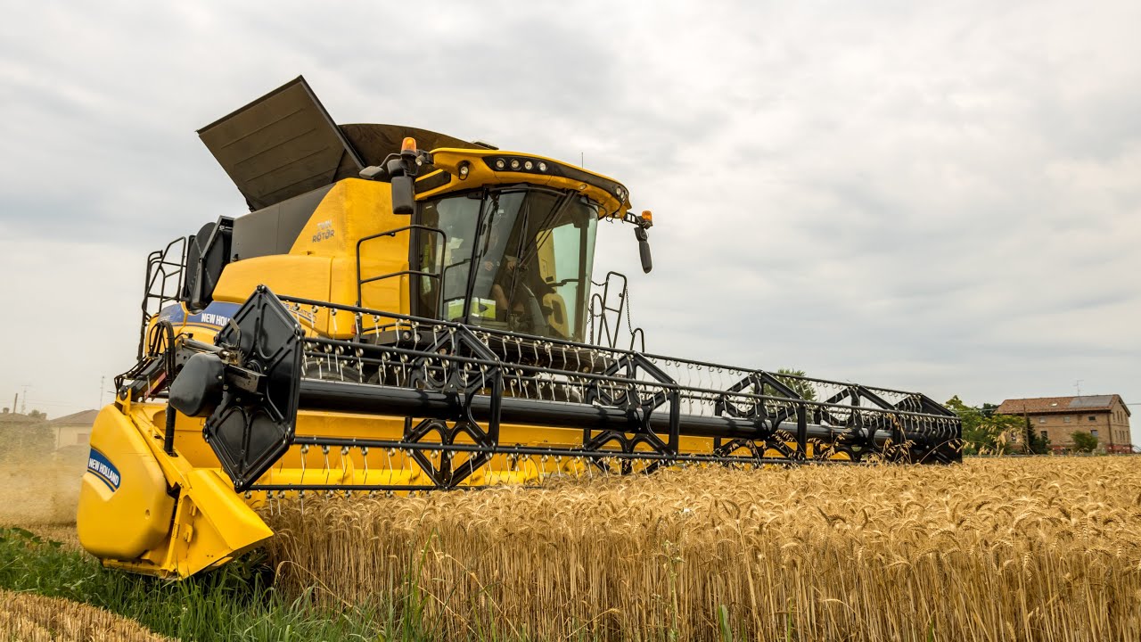 New Holland CR 8.90 RELEVATION | Trebbiatura Grano 2021 | Wheat Harvest