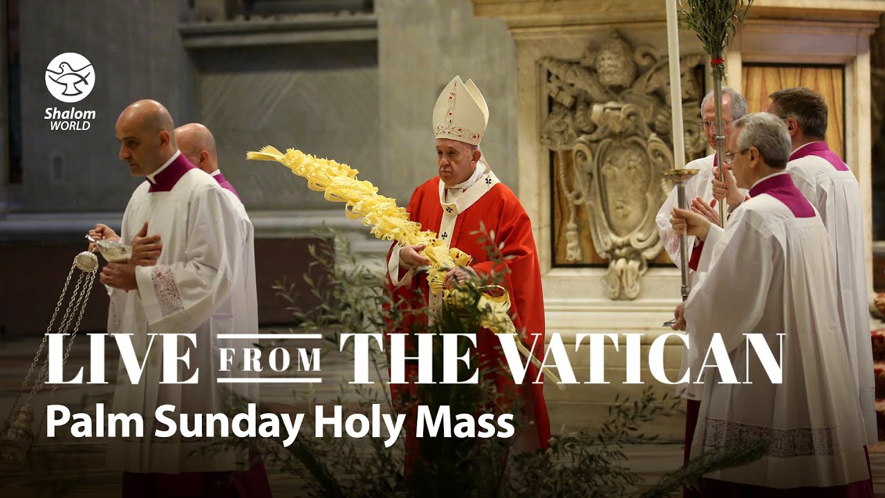 Palm Sunday Holy Mass | LIVE from the Vatican