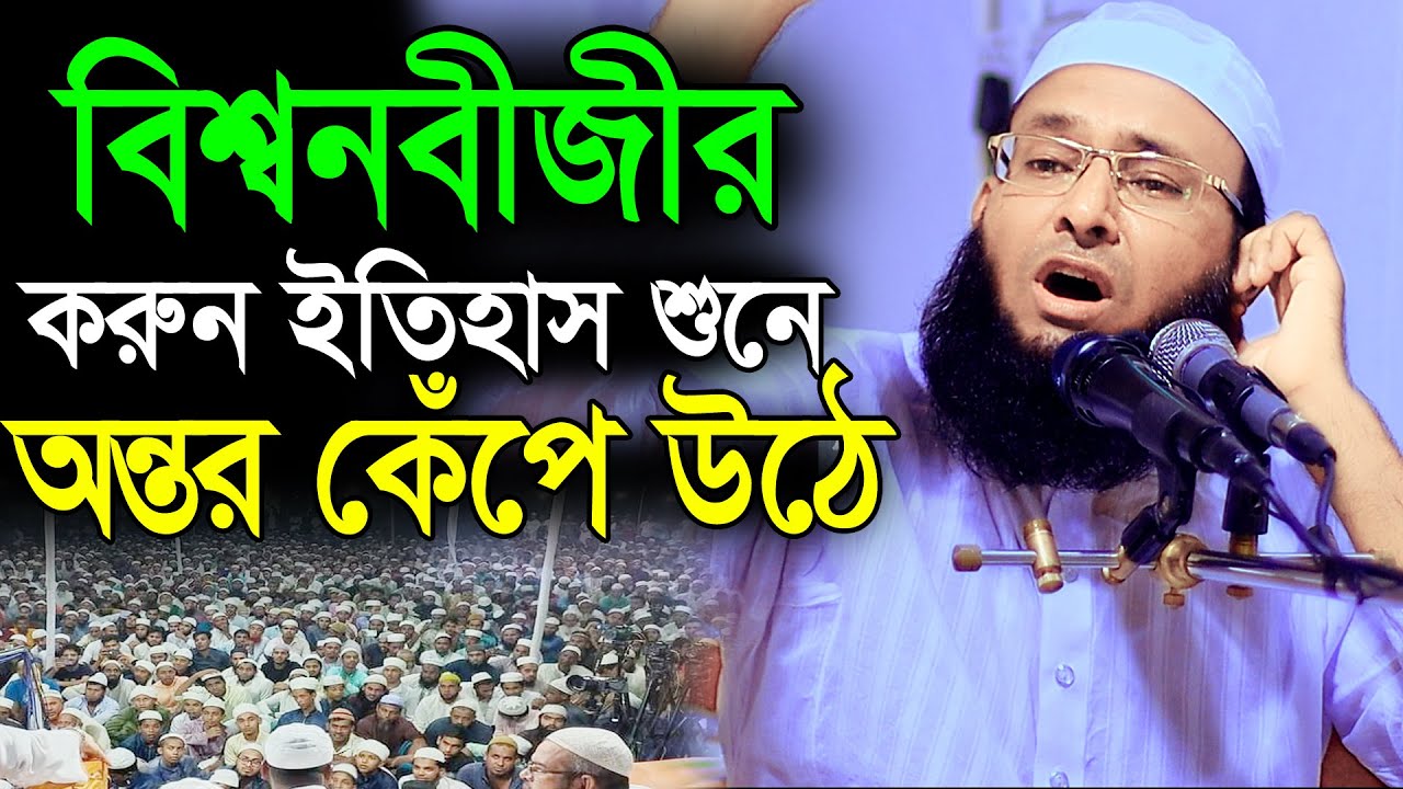বিশ্বনবীজীর করুন ইতিহাস, আবু হানিফ তৈয়্যবী, Mohakhali Tv