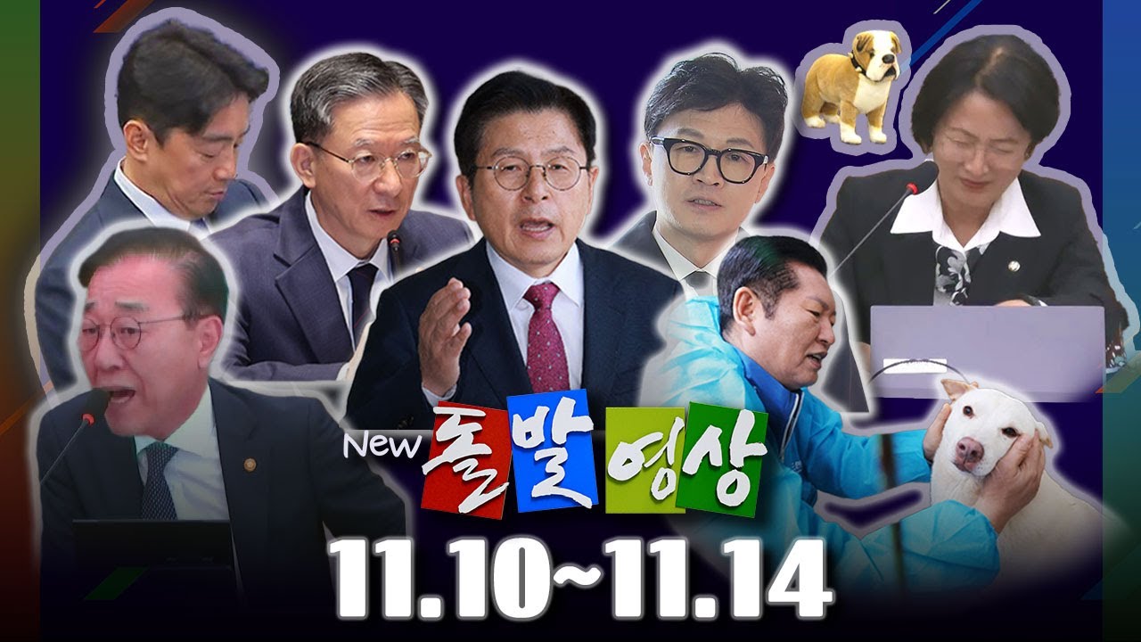 [돌발영상] 2025년 11월 10일 ~ 11월 14일 정주행 / YTN