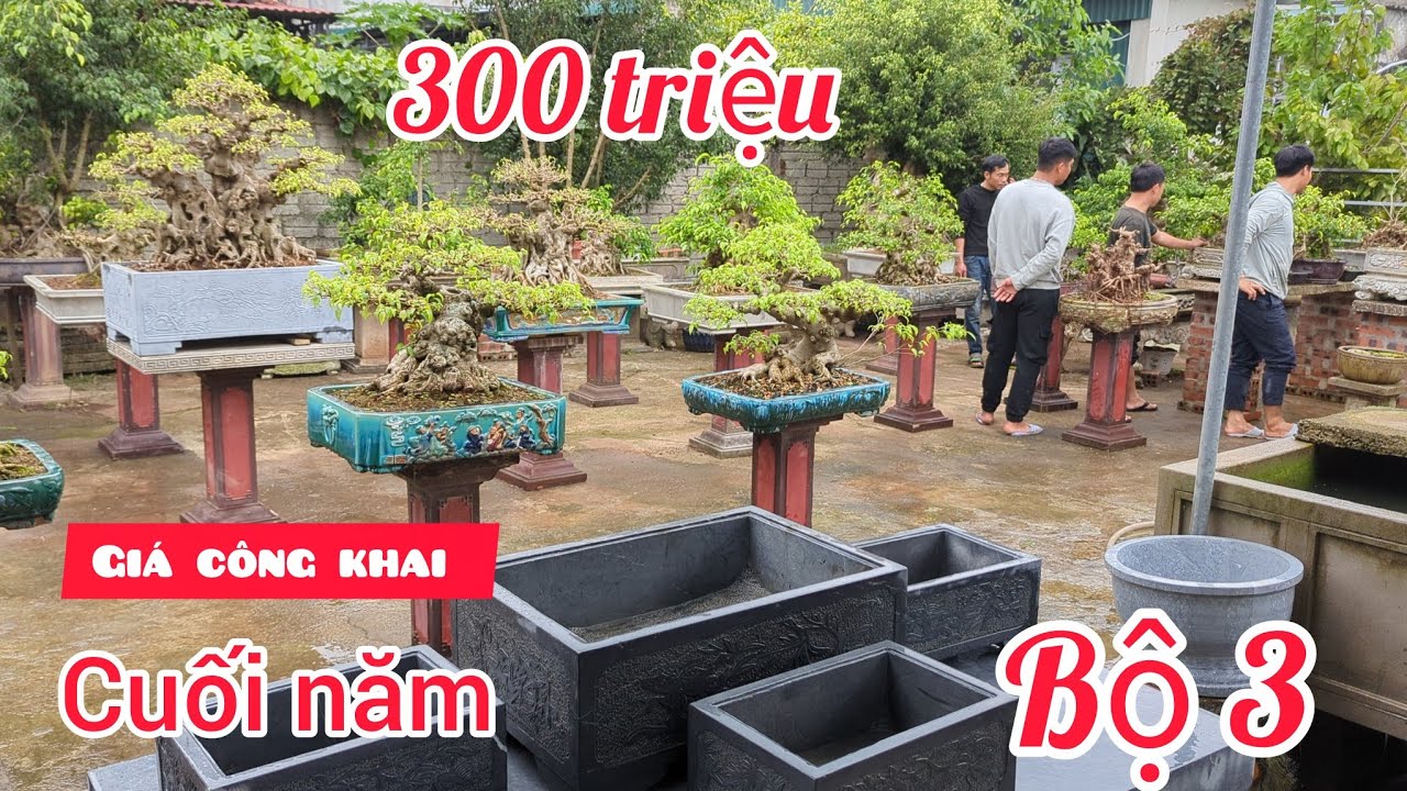 Giá công khai 300 triệu bộ 3 tác phẩm đẹp già u sụn ngày cuối năm cho anh em siêu tầm 