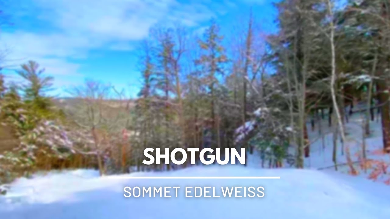 Shotgun - Sommet Edelweiss