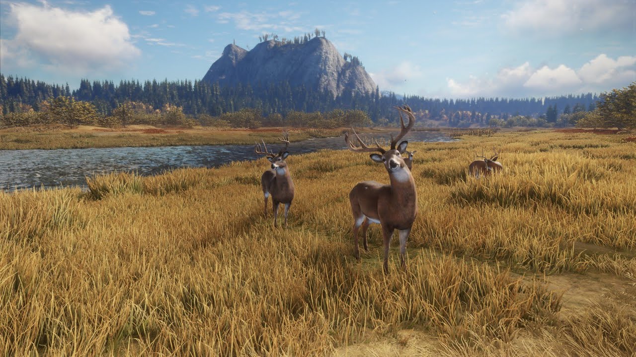 COTW Grind whitetail deer GREAT ONE na Layton lake
