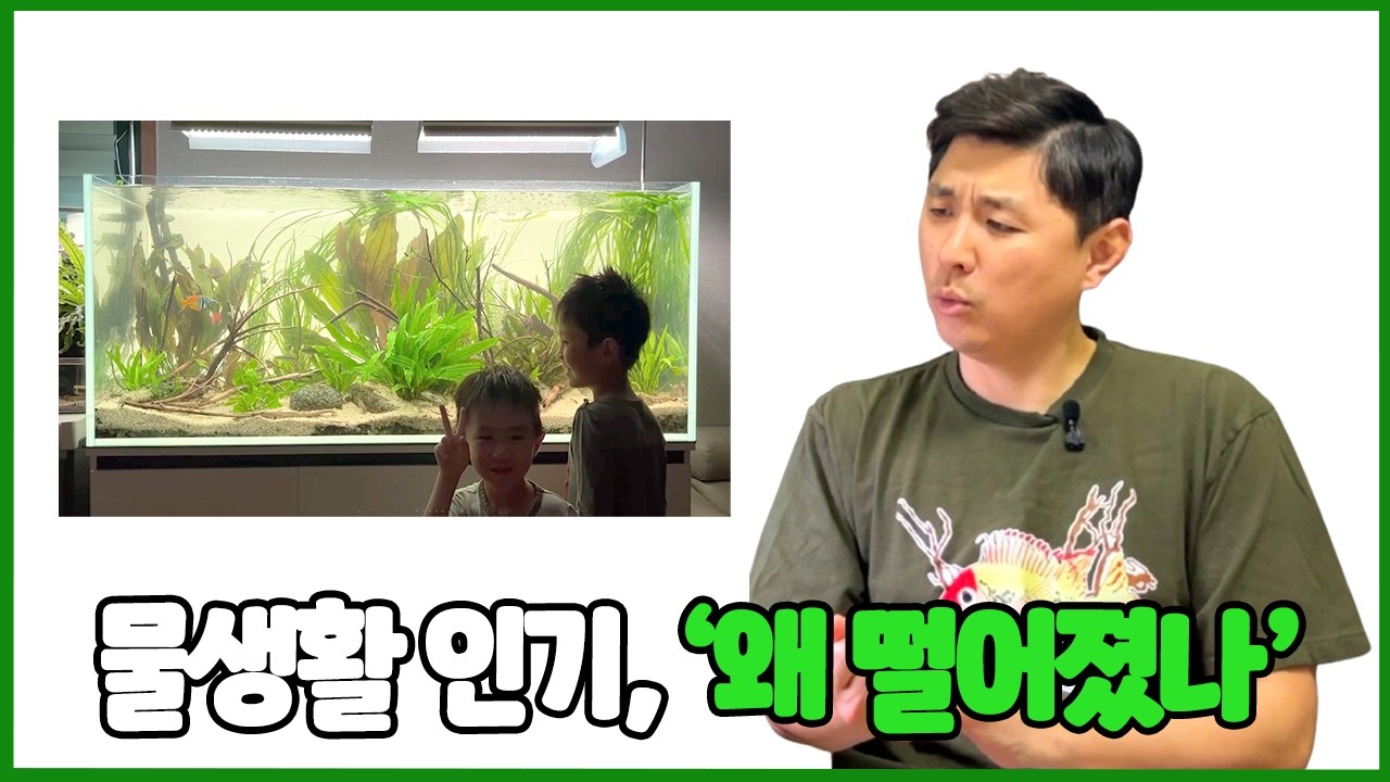 요즘 물생활, 매주 수입이 들어와도 재미없는 이유? #관상어키우기