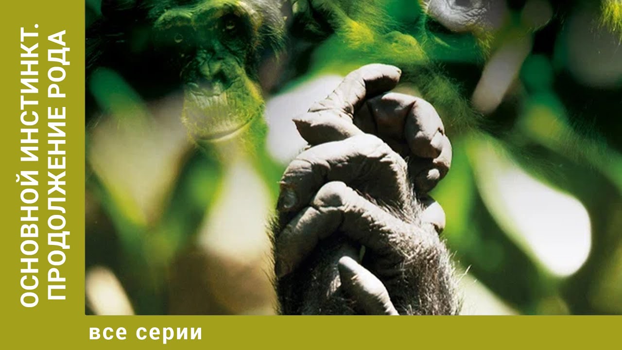 Основной инстинкт. Продолжение рода. Все Серии. Документальный Проект. Лучшие сериалы
