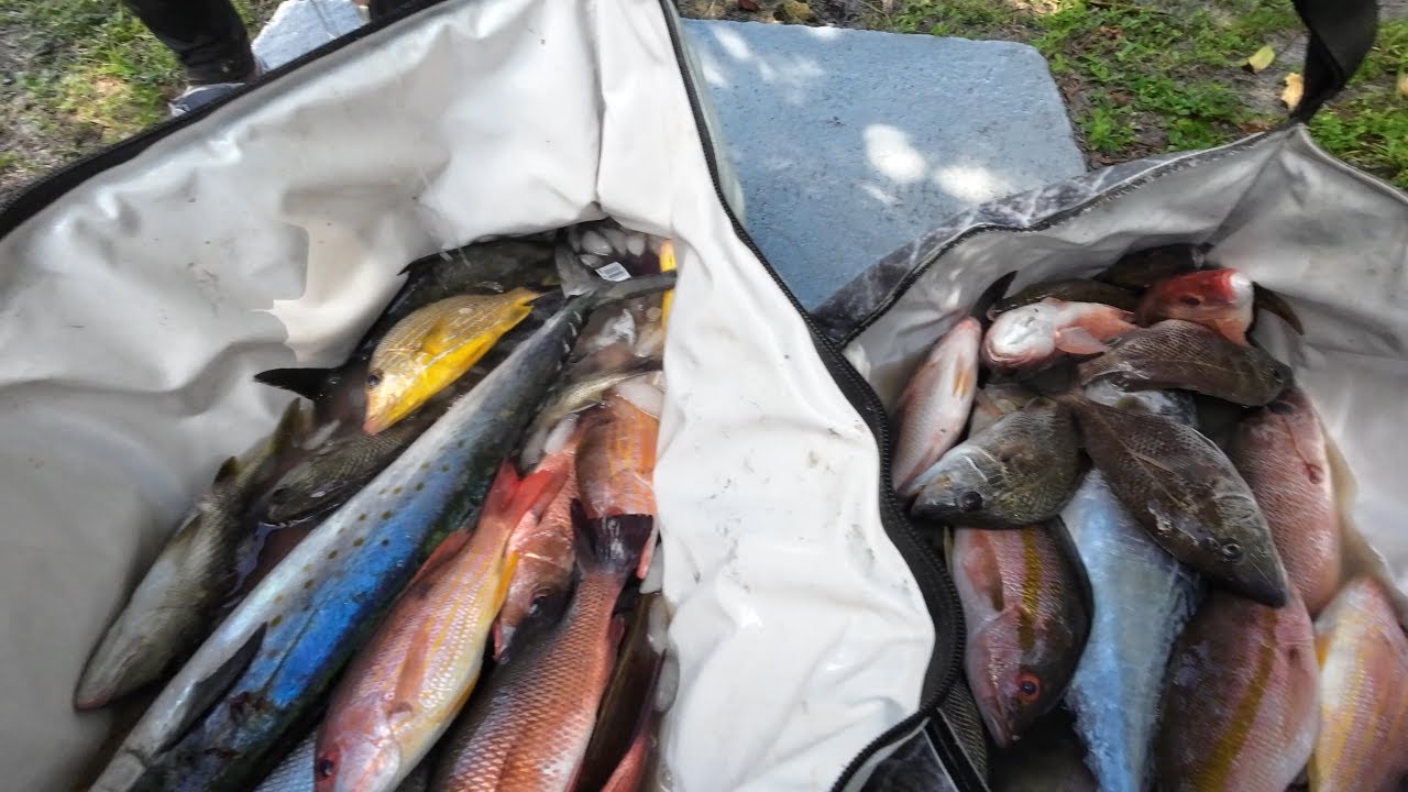 Big Fish Non-stop Action Fort Lauderdale Beach Kayak Fishing My Way!!!