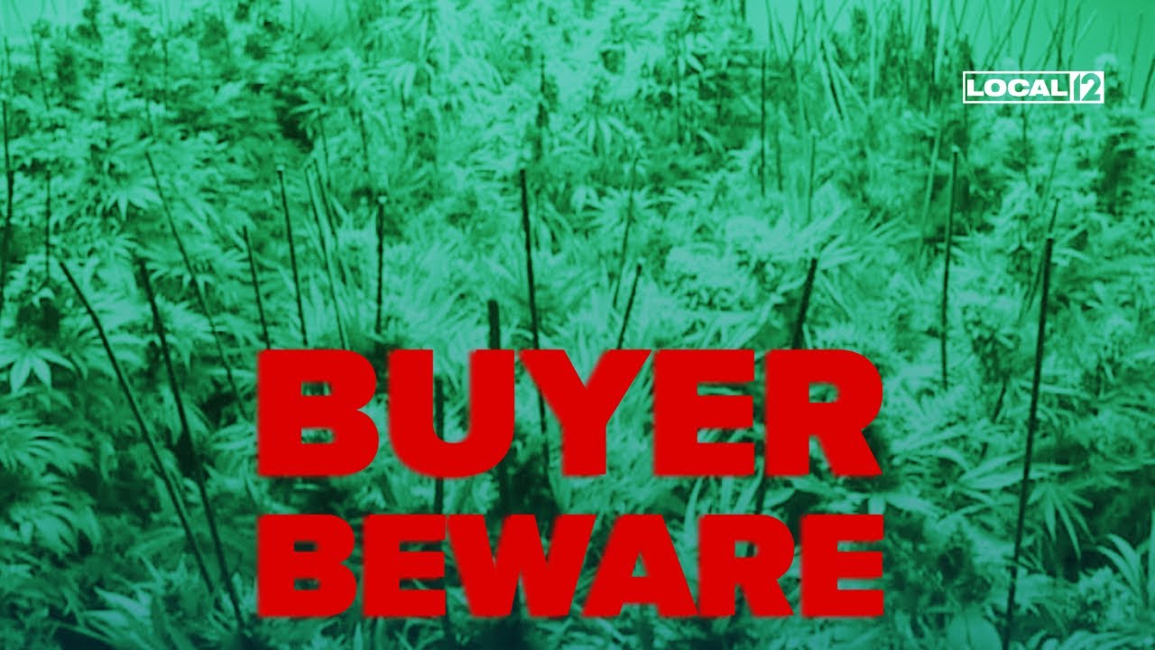Ohio dispensaries ready for recreational cannabis sales, Kentucky buyers beware