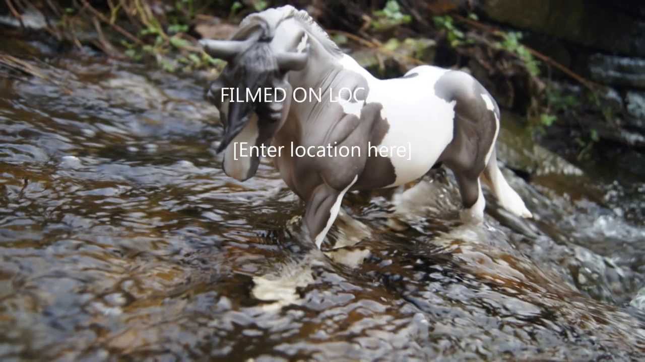 BREYER PHOTOGRAPHY