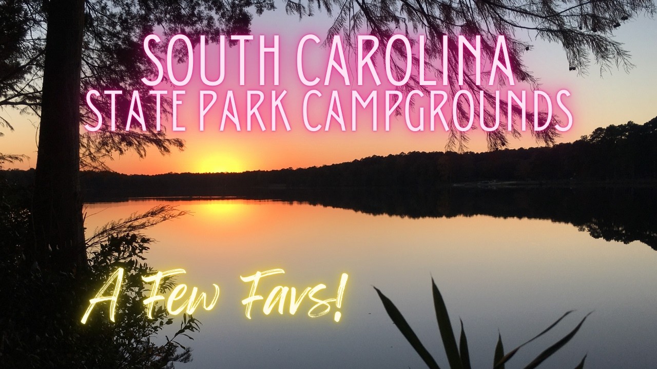 South Carolina State Park Campgrounds / Cheraw, Lake Wateree & Aiken / A Few Favs!