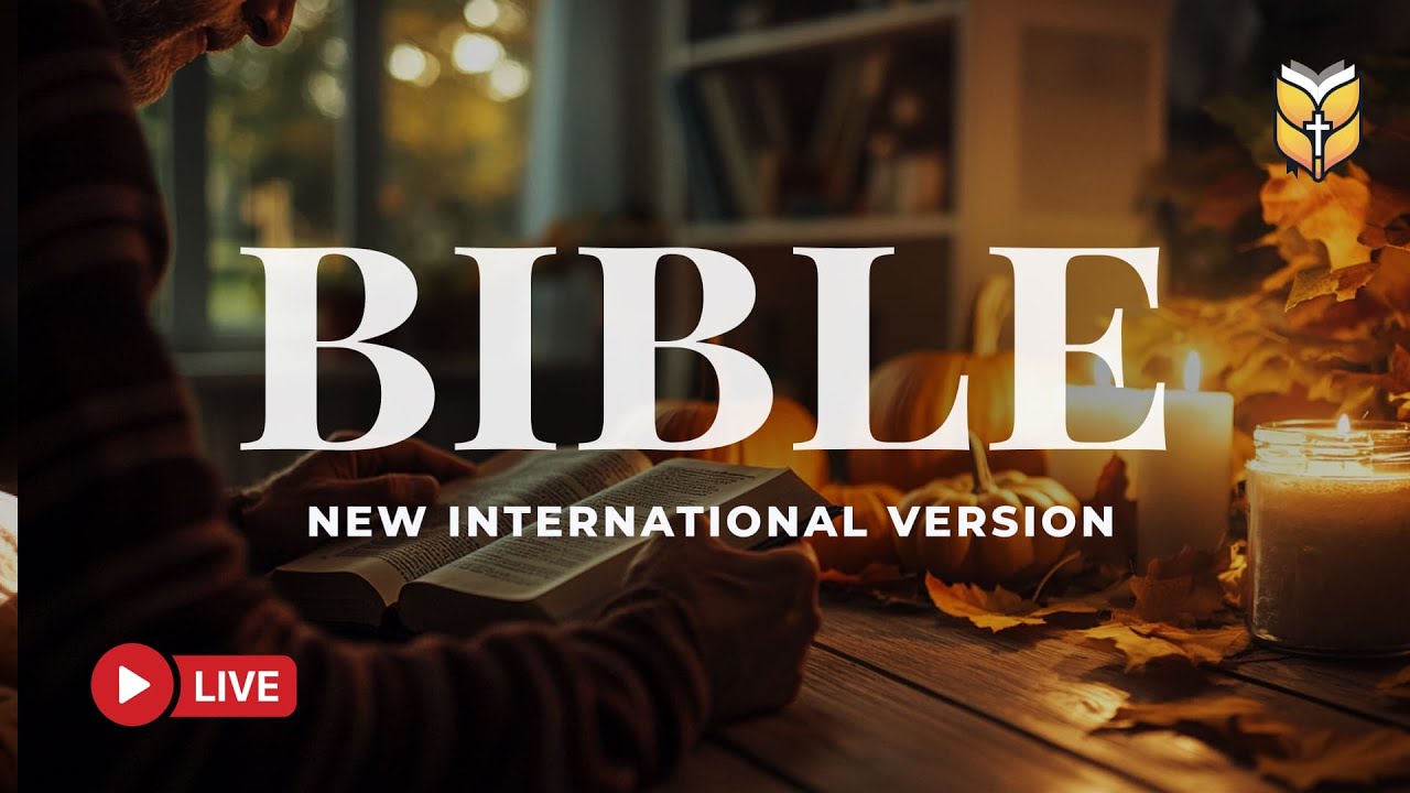Holy Bible NIV Reading – Inspiration and Hope for Your Spirit 🔴 BibleVision LIVE