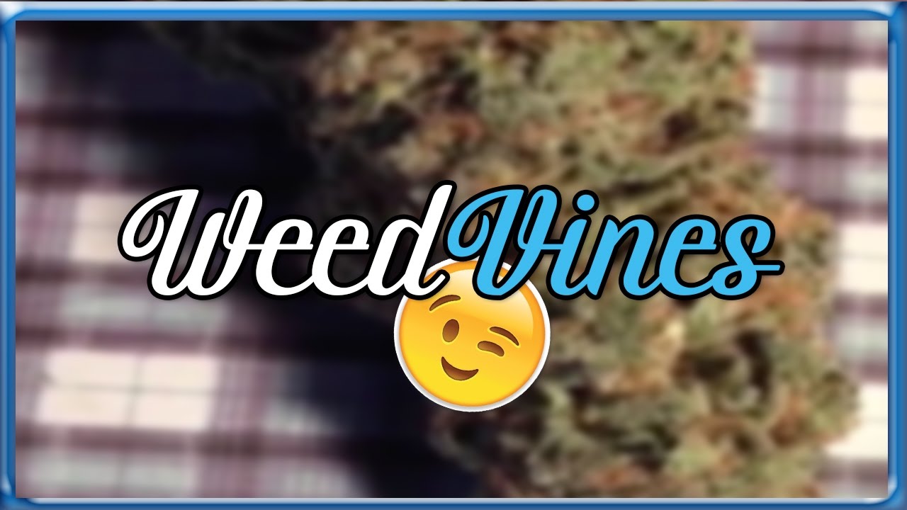 Weed Vine Compilation #1 | SM