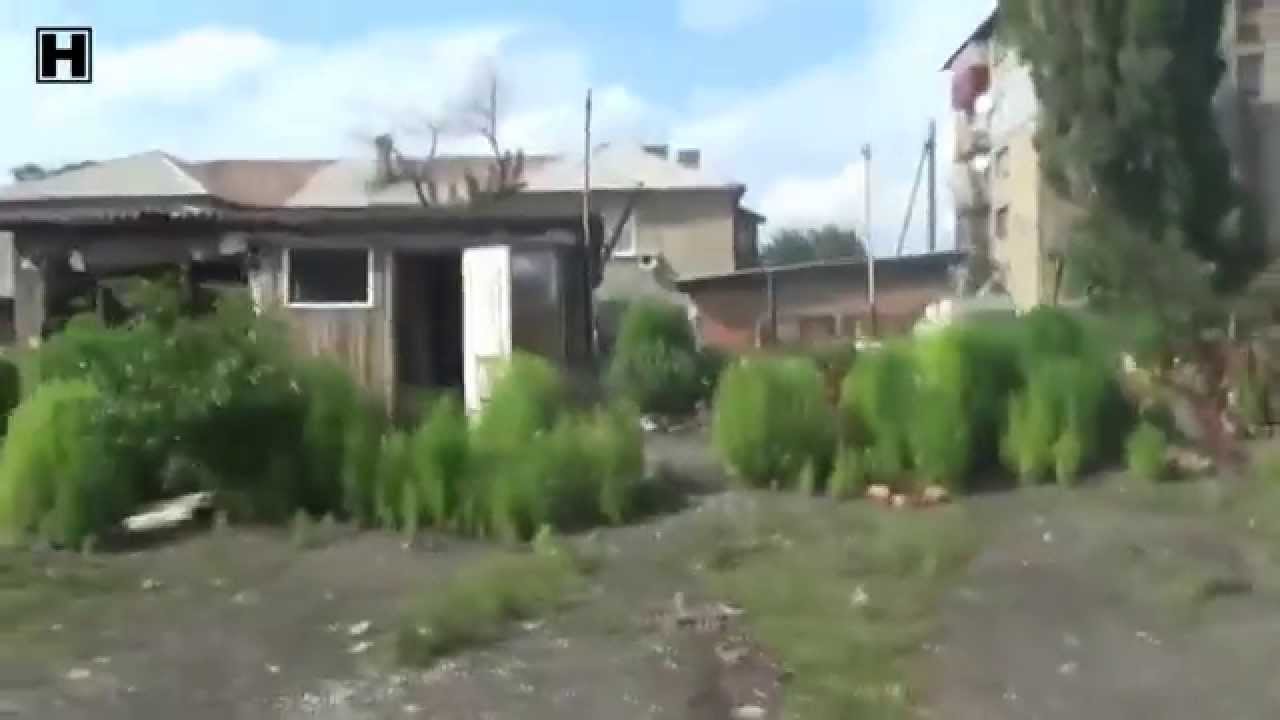 Нижняя Крынка, ужас от войны