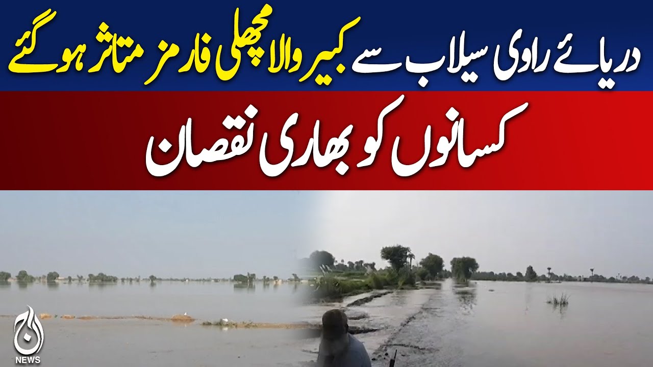 Ravi River Flood Destroys Fish Farms In Kabirwala - Pakistan News
