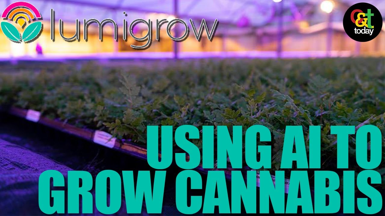 Using AI to grow Cannabis with LumiGrow's Smart LED Grow Lights