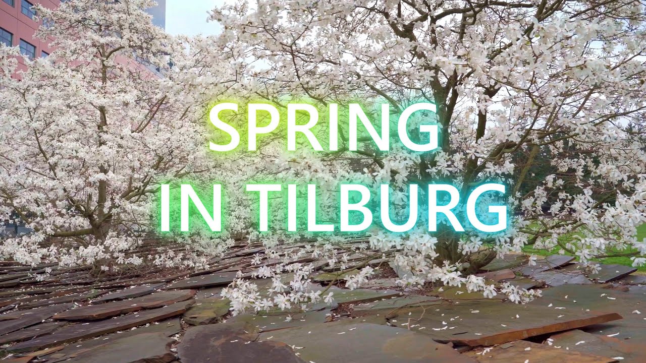 🇳🇱 Tilburg Tivolipark, Netherlands