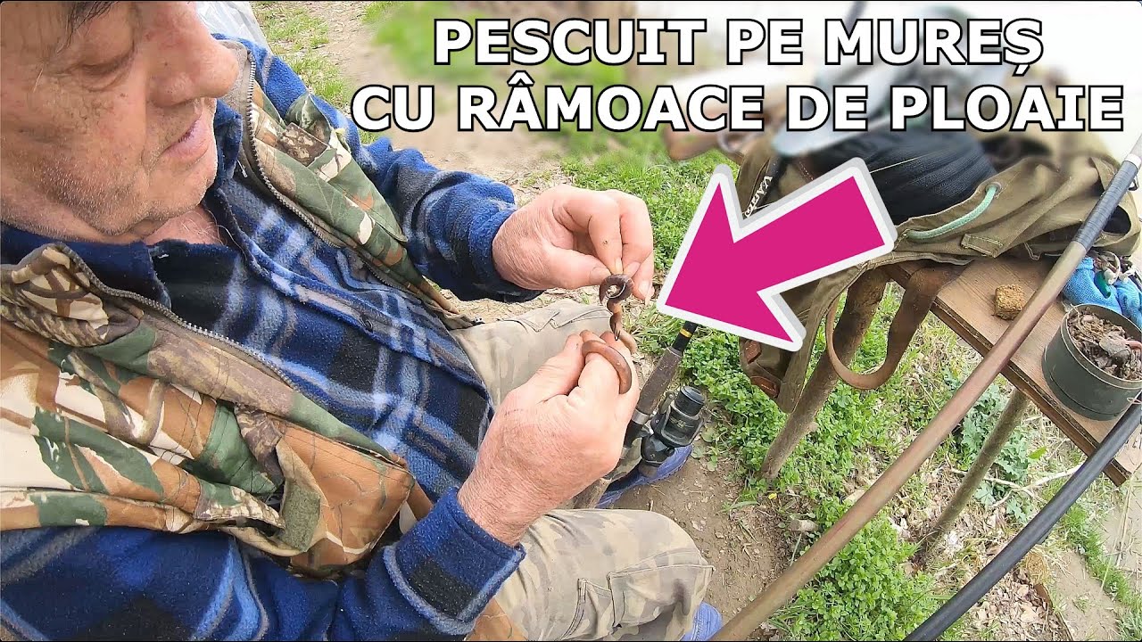 INSISTAM La Pescuit PE MURES cu Nea Dorel la Turtoi și RÂME Pe Ploaie - 27 Martie 2025