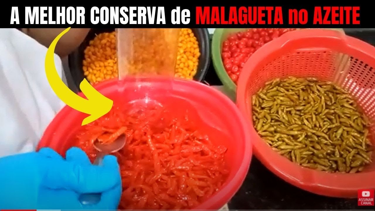 [A MELHOR] COMO FAZER PIMENTA MALAGUETA em CONSERVA NO AZEITE