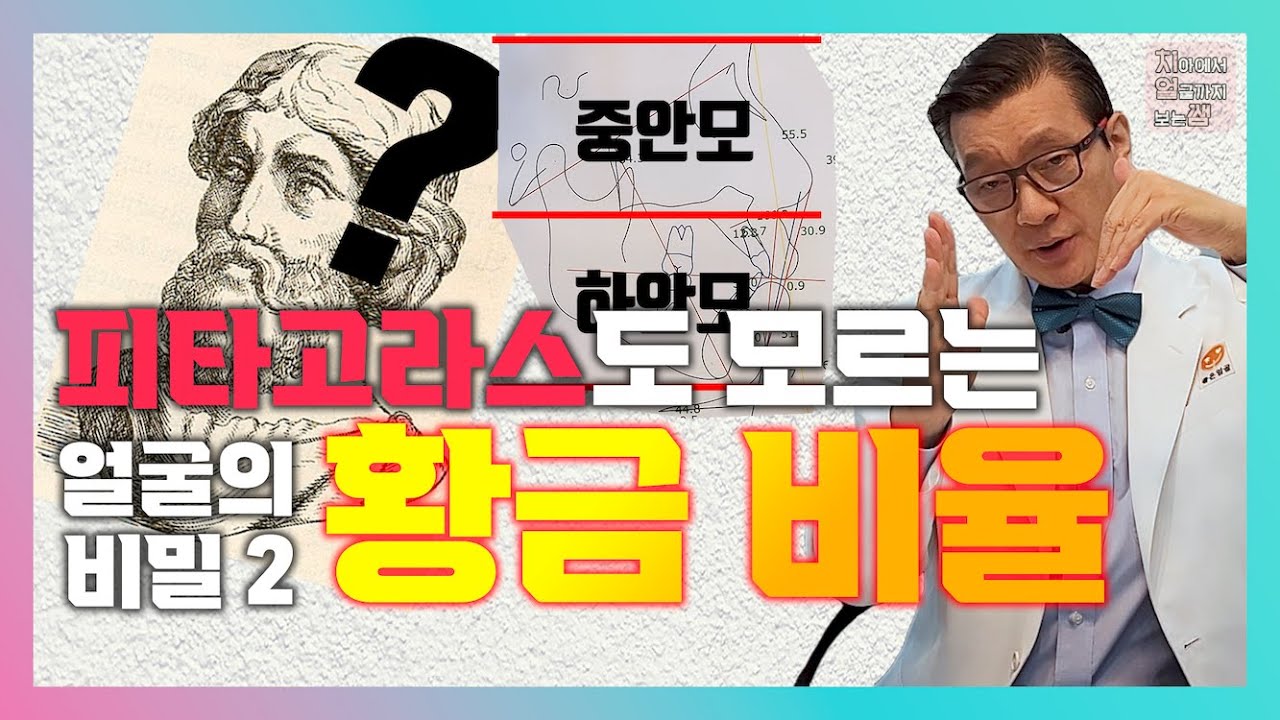 하안모? 중안모? 얼굴의 적절한 비율 딱 알려드려요