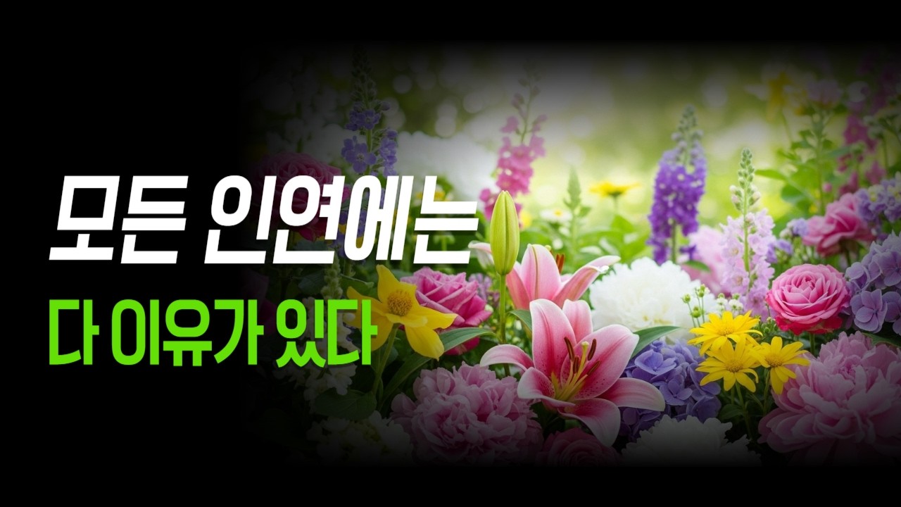 지나고 나서야 알게 되는 것, 우리 인생의 모든 인연에는 이유가 있습니다