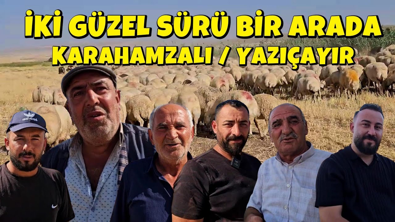 KOYUN GÜTMEYE BAŞLADIĞINDA YANINDA BİR POŞET İLAÇLA GELDİ, SAĞLIĞINA KAVUŞTU 50 KİLO DA VERDİ