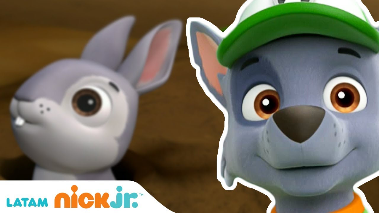 Paw Patrol, Patrulla de cachorros | Ladronzuelos | Nick Jr. en Español