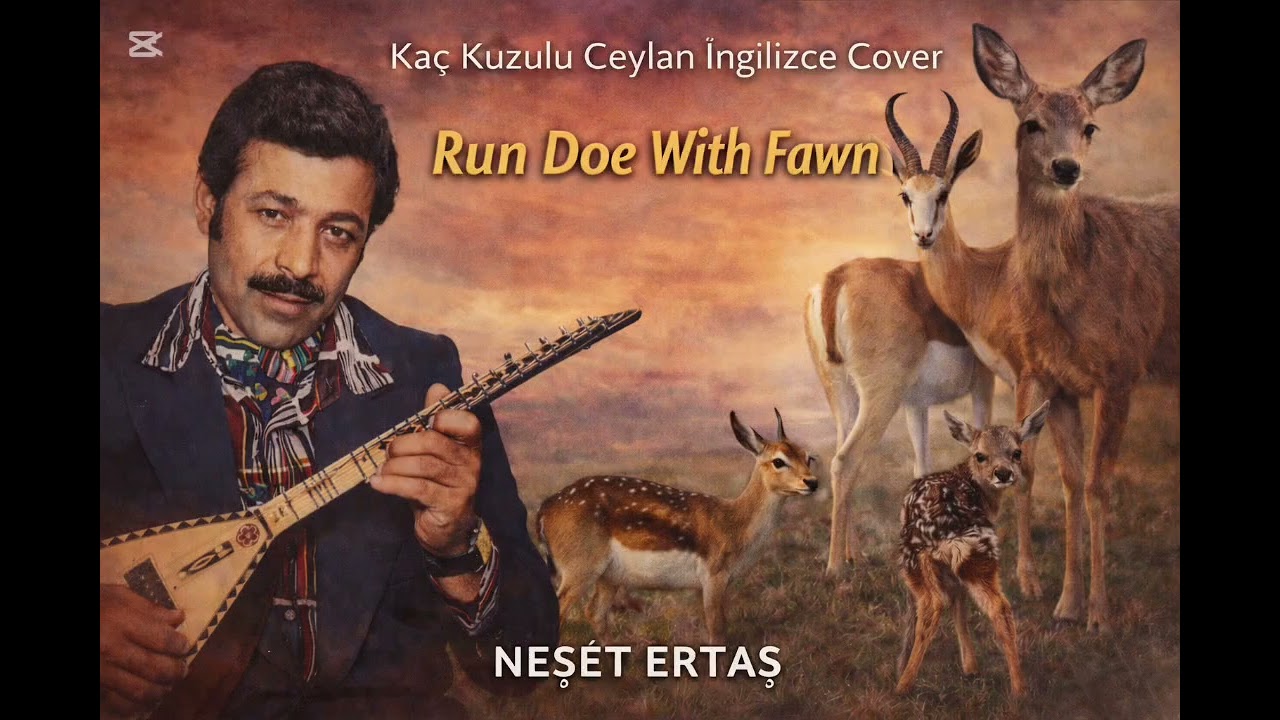Run Doe With Fawn (English Cover) | Turkish Folk Song Inspired by Neşet Ertaş