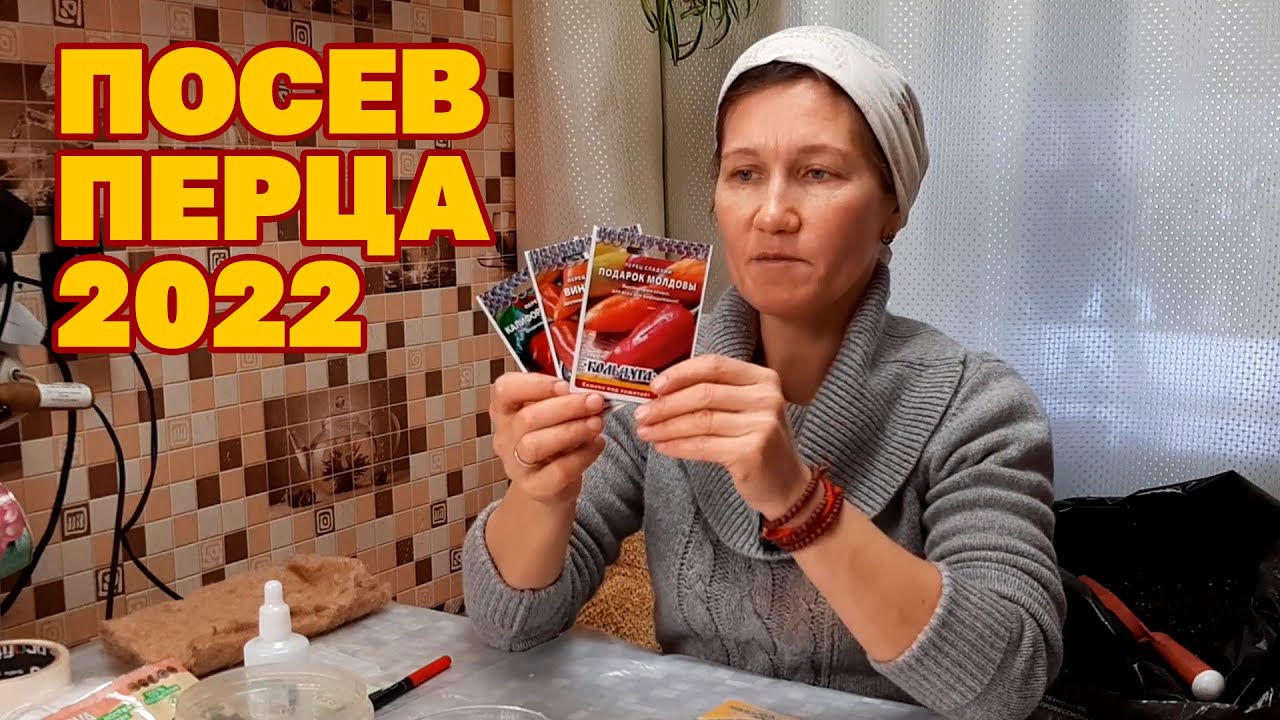 УРОЖАЙ ПРИ ЛЮБЫХ УСЛОВИЯХ СЛАДКОГО ПЕРЦА НОВИНКИ ОСТРОГО ПЕРЦА ПОСЕВ СЕМЯН @obovsemsmarusya​
