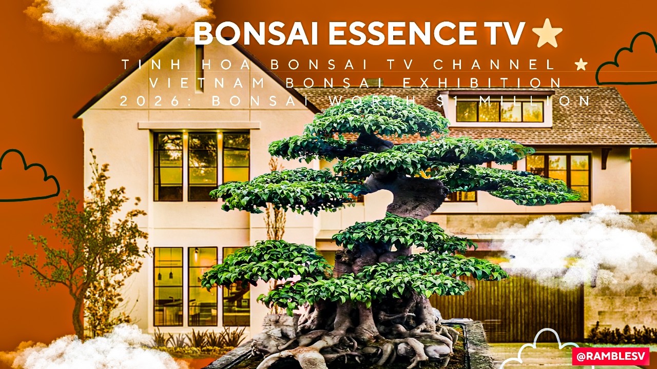 🌿Bonsai Essence TV | The Beauty of Bonsai Masterpieces #bonsai #planetebonsai #caycanh