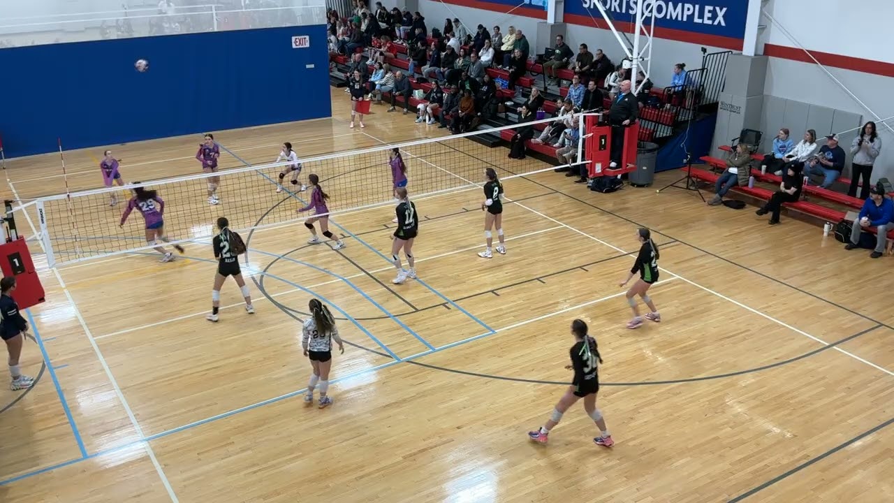 EVC 14P v Rev 14 Gray SET 2