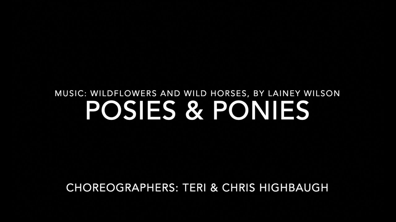 Posies & Ponies Demo Video