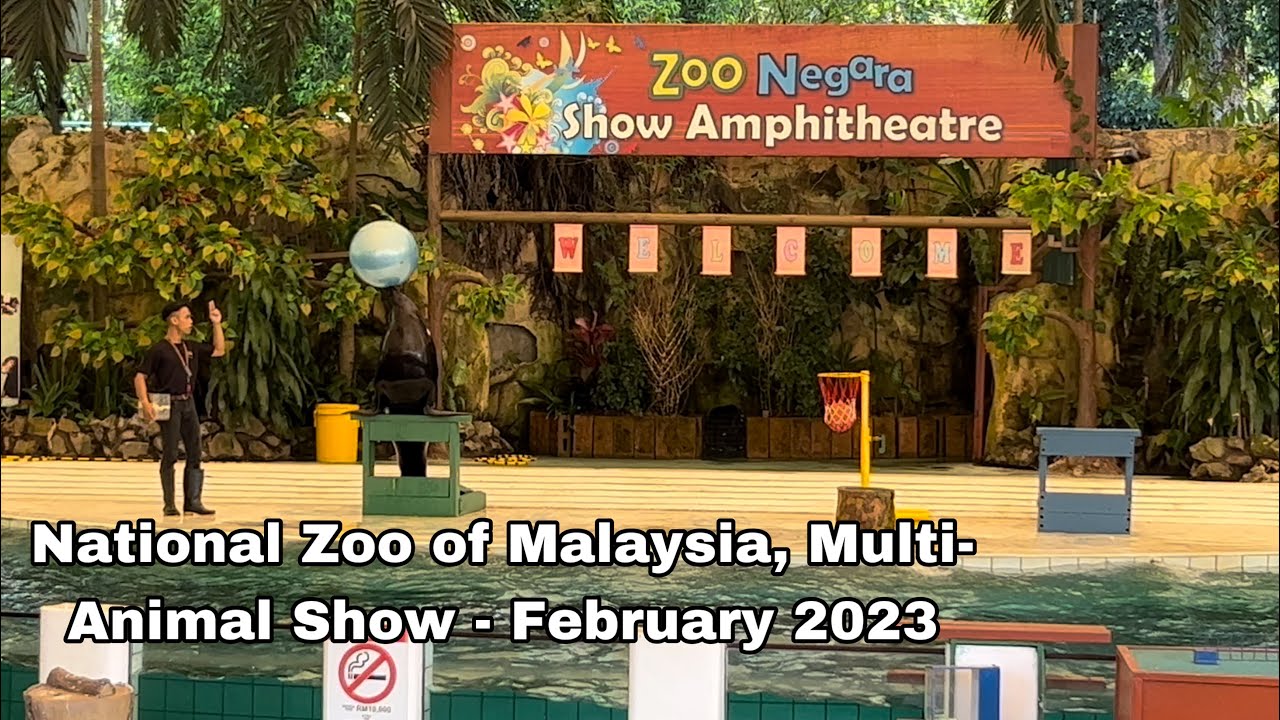 National Zoo of Malaysia, Multi Animal Show - 16/02/2023