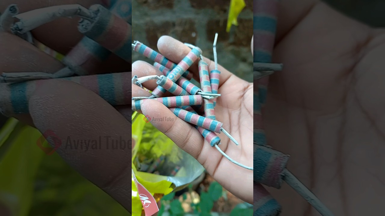 കൊള്ളാം വാര്യരെ Mori Bijili #crackers #padakkam #vishu2024 #vishu