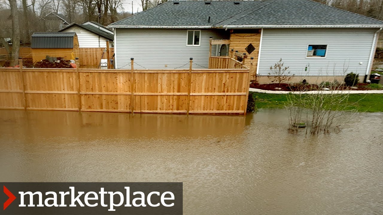 Insurance nightmares: Are you protected from flooding? (Marketplace)