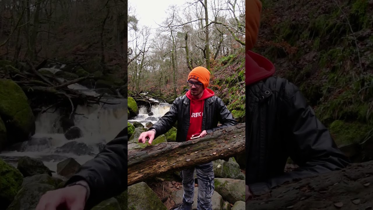 Почему монеты вбивают в деревья? 🌳💰 | Традиция денежного дерева в Великобритании