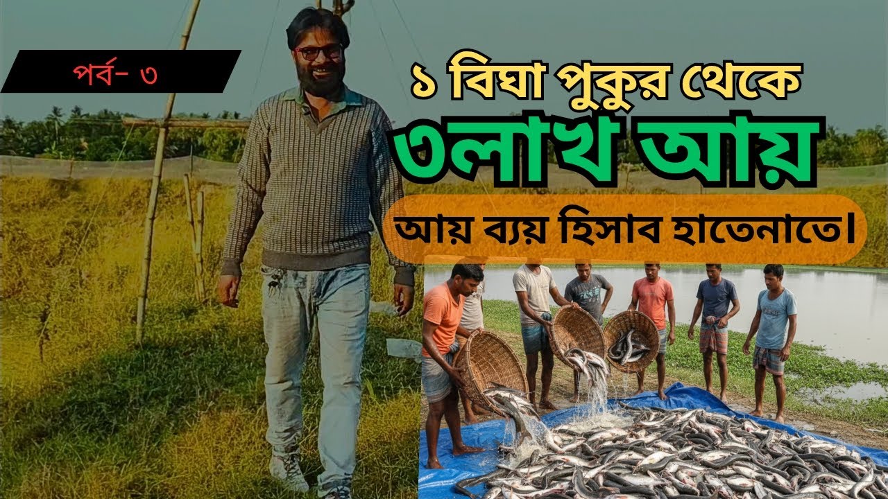 এক বিঘে পুকুর থেকে 3 লাখ টাকা লাভ - আয় ব্যয়ের হিসাব । Fish Farming Cost and Profit। দেশী মাছের চাষ