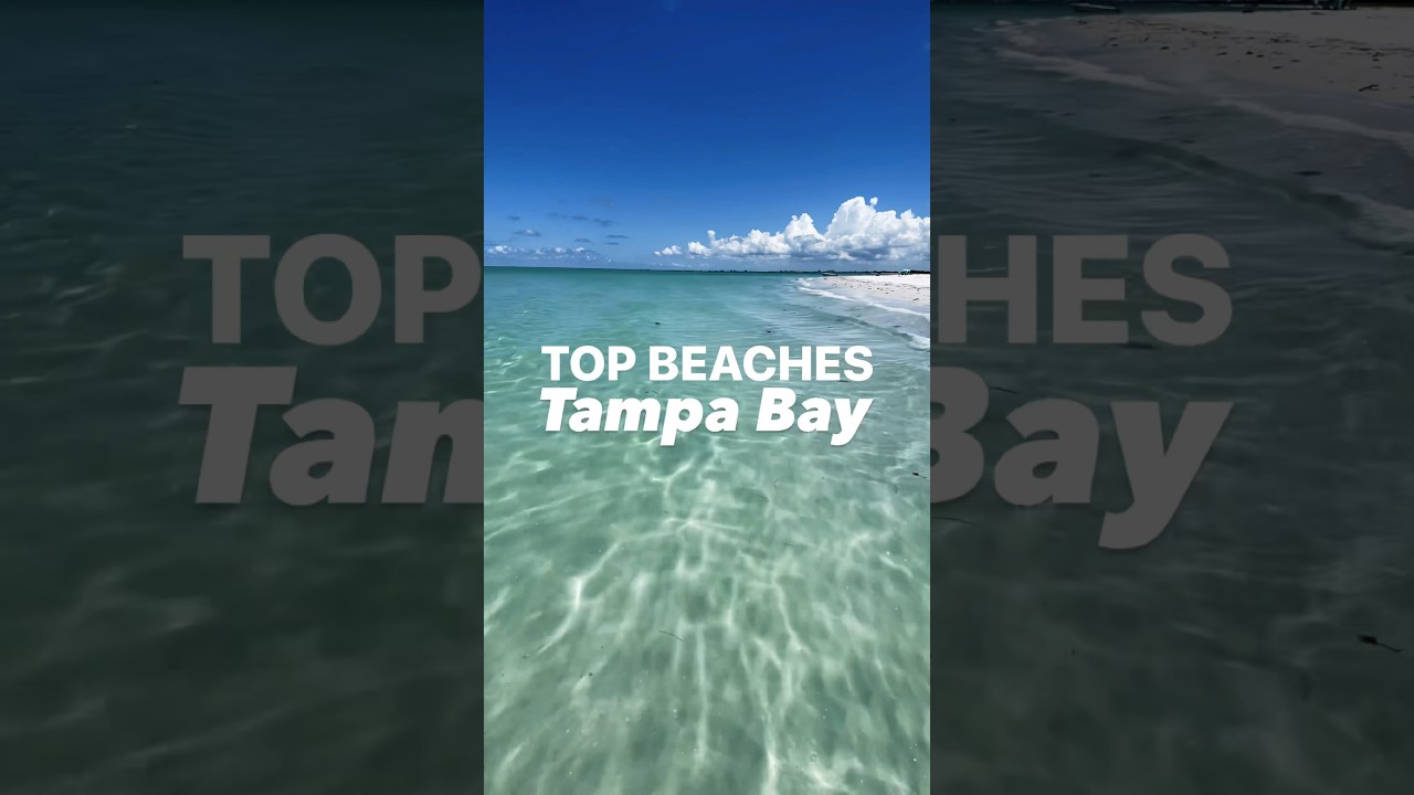 Beach Paradise: Tampa Bay 🏝️
