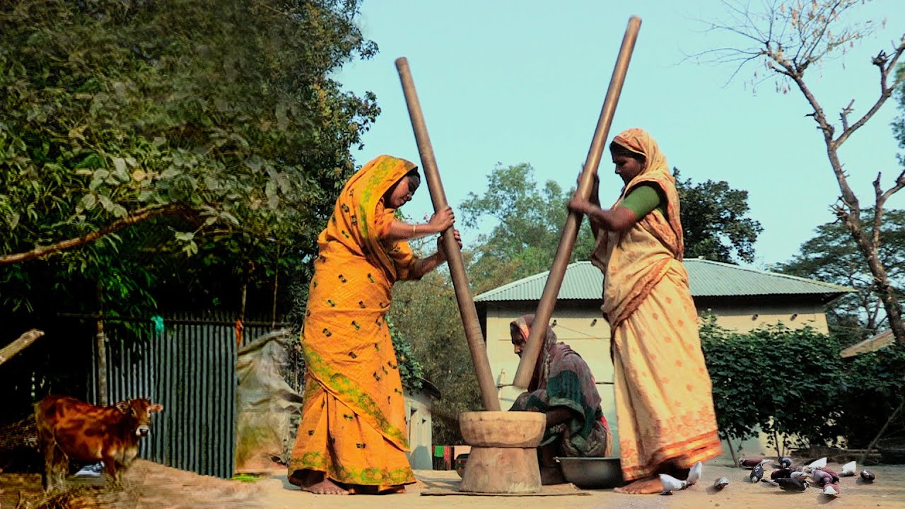 নরসিংদীর হাড়িসাংগান গ্রামের গাইলপাড়া [2022] || Panorama Documentary