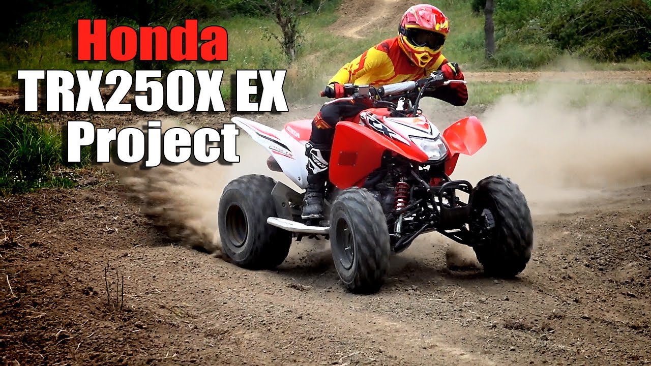Проект модернизации Honda TRX250X 250EX для трейла
